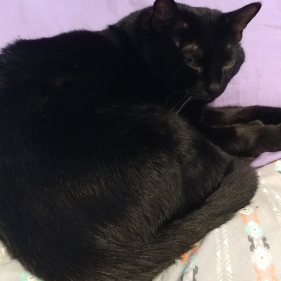 Meet your Posher, Melissa - Picture 11 of 11